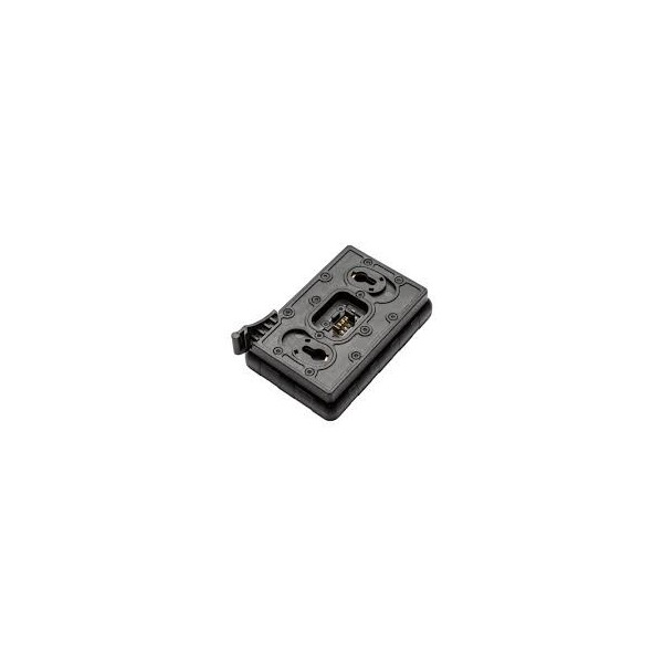IPS Battery Charger