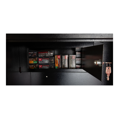 Winchester armoire forte 10 armes