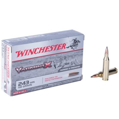 WINCHESTER 22-250 Rem 55grs Varmint