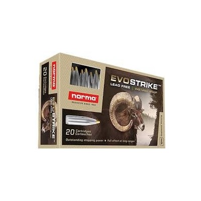 NORMA 6,5 X 55 SE Evostrike 6,0g